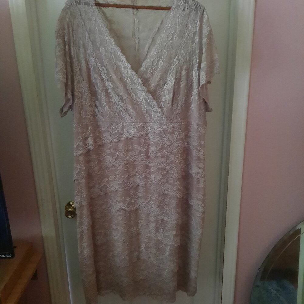 Helene Drake  Champagne Lace Dress